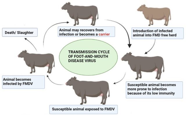 Foot-and-Mouth Disease in India: An Epidemiological Journey