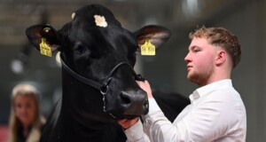 EuroTier 2024: world leading trade fair successfully powers the livestock industry