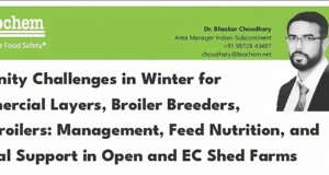 Immunity Challenges in Winter for Commercial Layers, Broiler Breeders, and Broilers: Management, Feed Nutrition, and Clinical Support in Open and EC Shed Farms