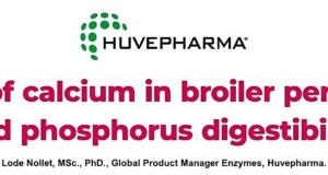 The role of calcium in broiler performance and phosphorus digestibility