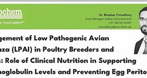 Management of Low Pathogenic Avian Influenza (LPAI) in Poultry Breeders and Layers: Role of Clinical Nutrition in Supporting Immunoglobulin Levels and Preventing Egg Peritonitis
