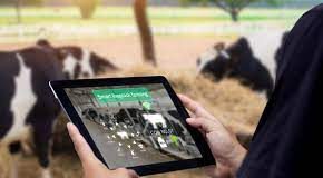 Digital Transformation: The Role of Tech in Dairy Distribution