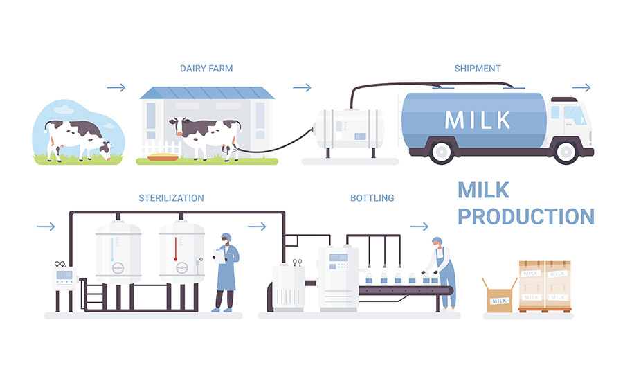 Cold Chain Management: Ensuring Freshness of Milk from Dairy Farm to Consumer 12 GettyImages 1264379782