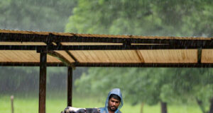 FEEDING MANGEMENT OF DAIRY ANIMALS DURING MONSOON SEASON