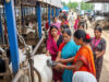 WOMENEMPOWERMENT INLIVESTOCK PRODUCTION AND MANAGEMENT