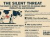 The Silent Threat: The Drastic Effect of Mastitis on Indian Milk Production and Economy