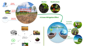 Weather Variability Understanding Its Impact on Agriculture, Ecosystems, and Human Life