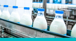 Cold Chain Management: Ensuring Freshness of Milk from Dairy Farm to Consumer