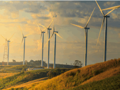 Sustainable Cold Chain: Balancing Efficiency and Environmental Responsibility