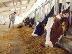 Protecting Biotechnological Processes in Animal Husbandry: Strategies for Biosecurity, Data & IP Safeguards, and Sustainable Innovation Protecting Biotechnological Processes in Animal Husbandry: Strategies for Biosecurity, Data & IP Safeguards, and Sustainable Innovation