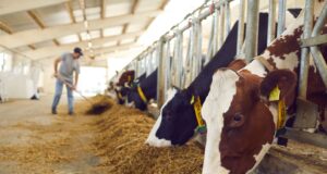 Protecting Biotechnological Processes in Animal Husbandry: Strategies for Biosecurity, Data & IP Safeguards, and Sustainable Innovation Protecting Biotechnological Processes in Animal Husbandry: Strategies for Biosecurity, Data & IP Safeguards, and Sustainable Innovation