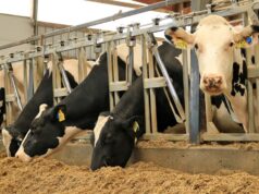 Revolutionizing the Barnyard: Recent Advances in Livestock Technology Revolutionizing the Barnyard: Recent Advances in Livestock Technology