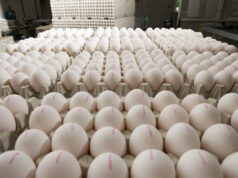 Ready-to-Cook & Ready-to-Eat Poultry: Redefining the Future of Food Ready-to-Cook & Ready-to-Eat Poultry