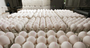 From Farm to Fork: Understanding Egg Production and Processing Ready-to-Cook & Ready-to-Eat Poultry