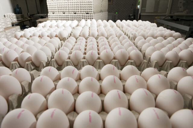 Ready-to-Cook & Ready-to-Eat Poultry