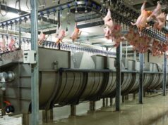 AI and Automation in Poultry Processing: Revolutionizing the Future of Protein Production AI and Automation in Poultry Processing: Revolutionizing the Future of Protein Production